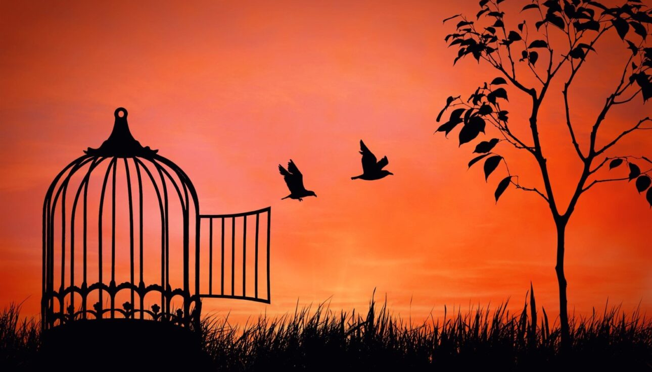 Madarak röppennek ki egy kalitkából alkonyatkor