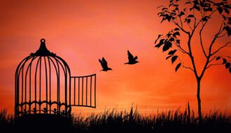 Madarak röppennek ki egy kalitkából alkonyatkor