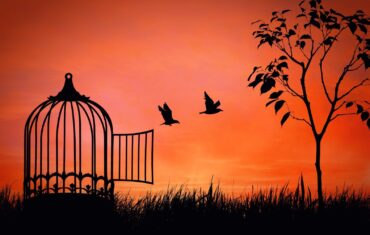 Madarak röppennek ki egy kalitkából alkonyatkor