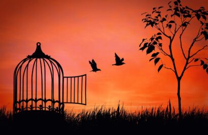 Madarak röppennek ki egy kalitkából alkonyatkor