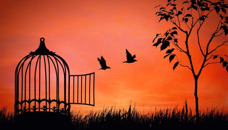 Madarak röppennek ki egy kalitkából alkonyatkor